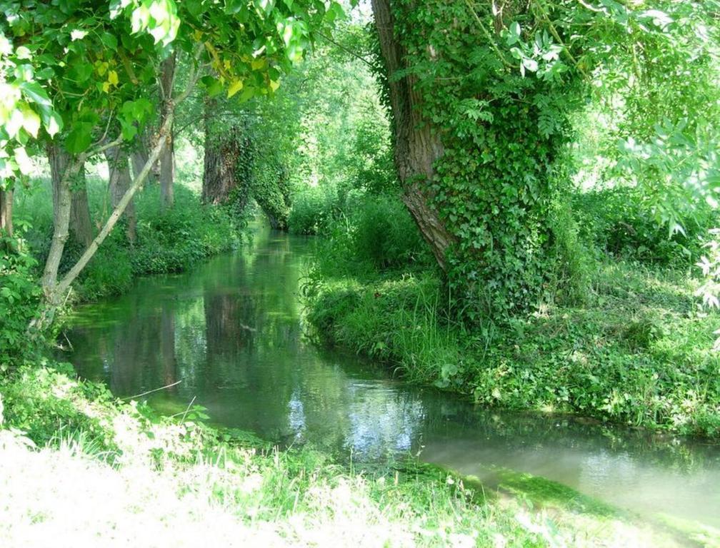 Le Moulin Fleuri Du Petit Appeville Bagian luar foto