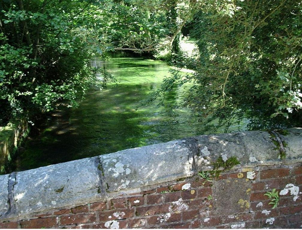 Le Moulin Fleuri Du Petit Appeville Bagian luar foto