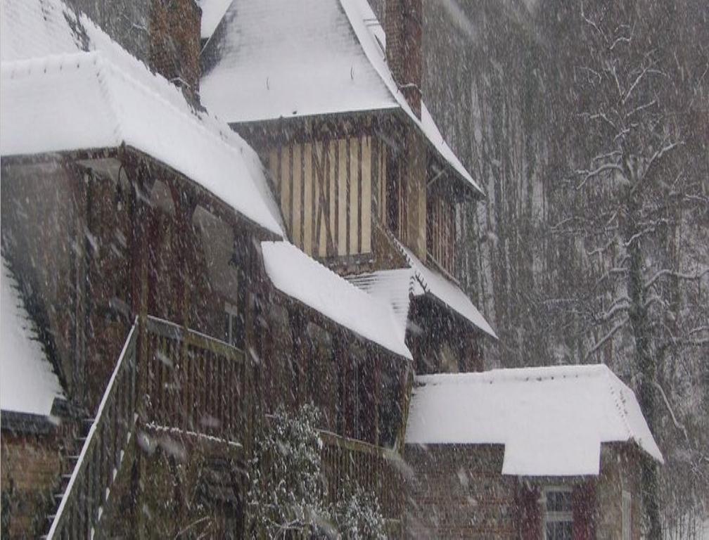 Le Moulin Fleuri Du Petit Appeville Bagian luar foto